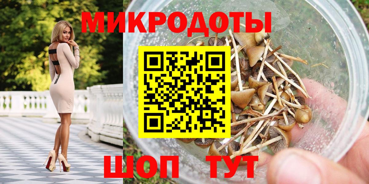 Псилоцибиновые грибы Psilocybe Можга