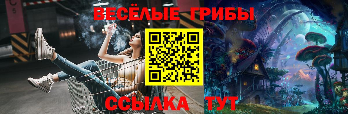 Псилоцибиновые грибы прущие грибы  Галлюциногенные грибы прущие грибы  Можга  Вход с VPN 